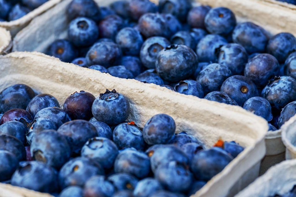 Blueberries in a tray