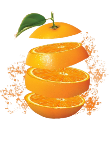 Edgars Orange